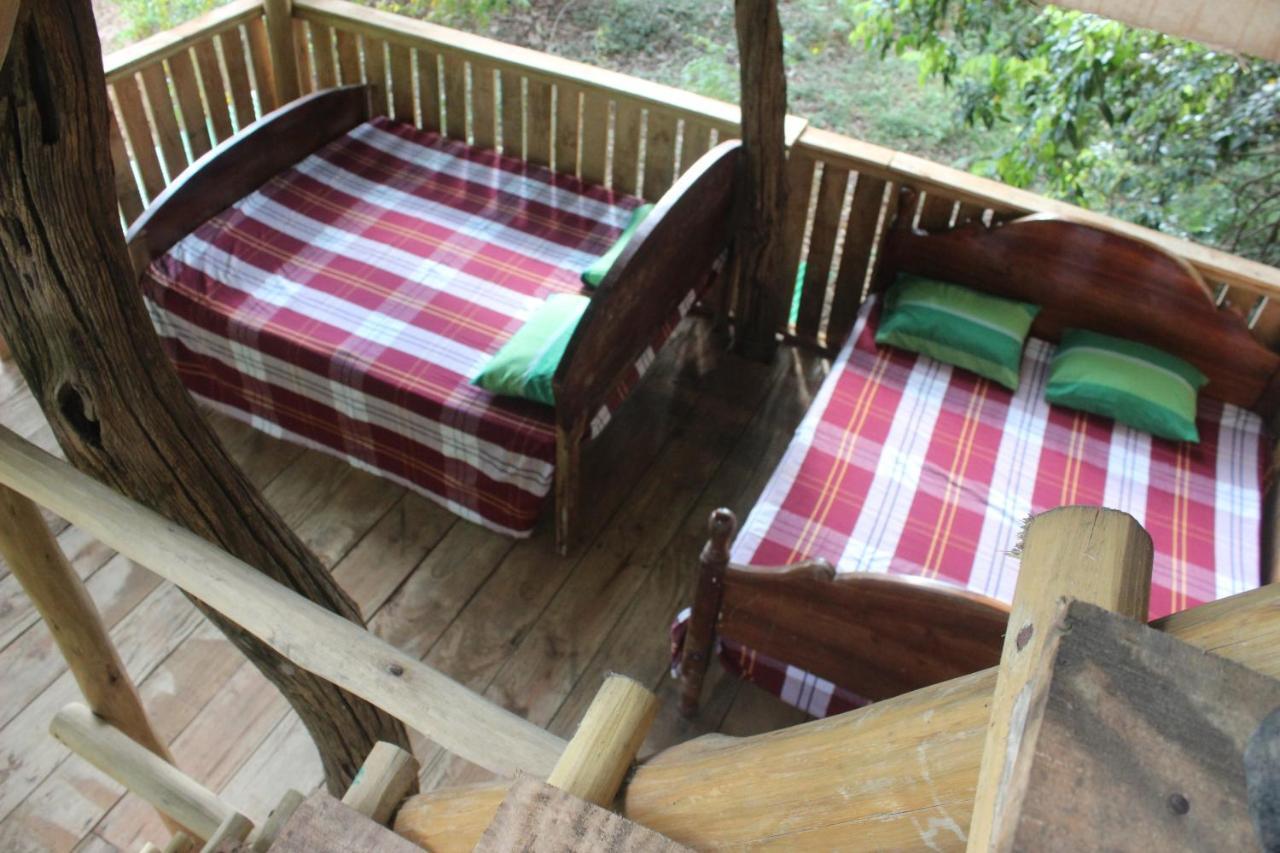 Forest Tree Top Holiday Resort Buttala Exterior foto