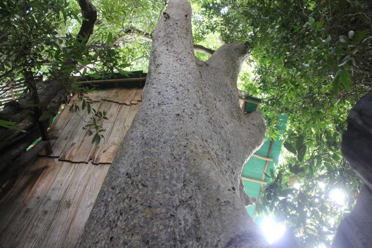 Forest Tree Top Holiday Resort Buttala Exterior foto