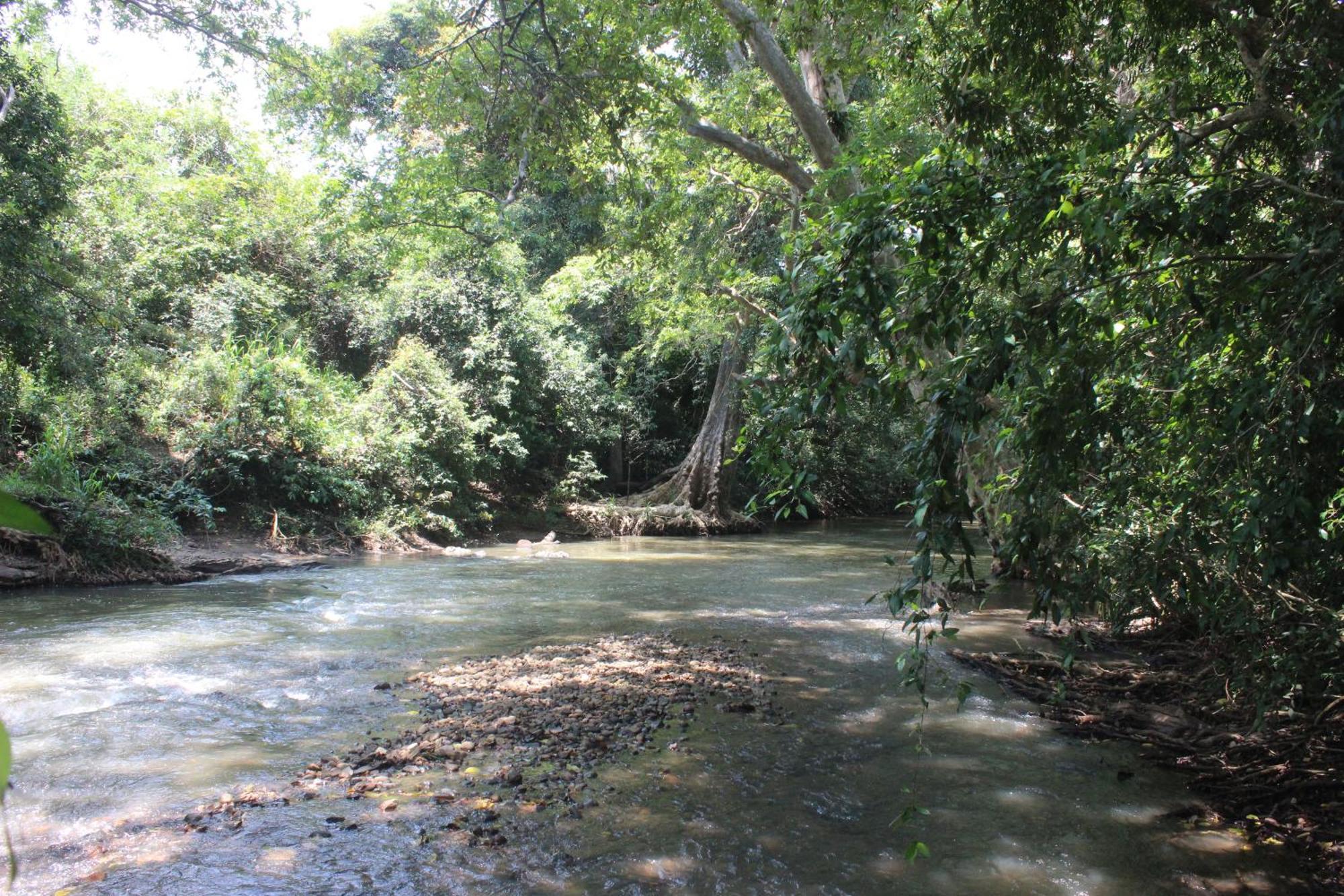 Forest Tree Top Holiday Resort Buttala Exterior foto